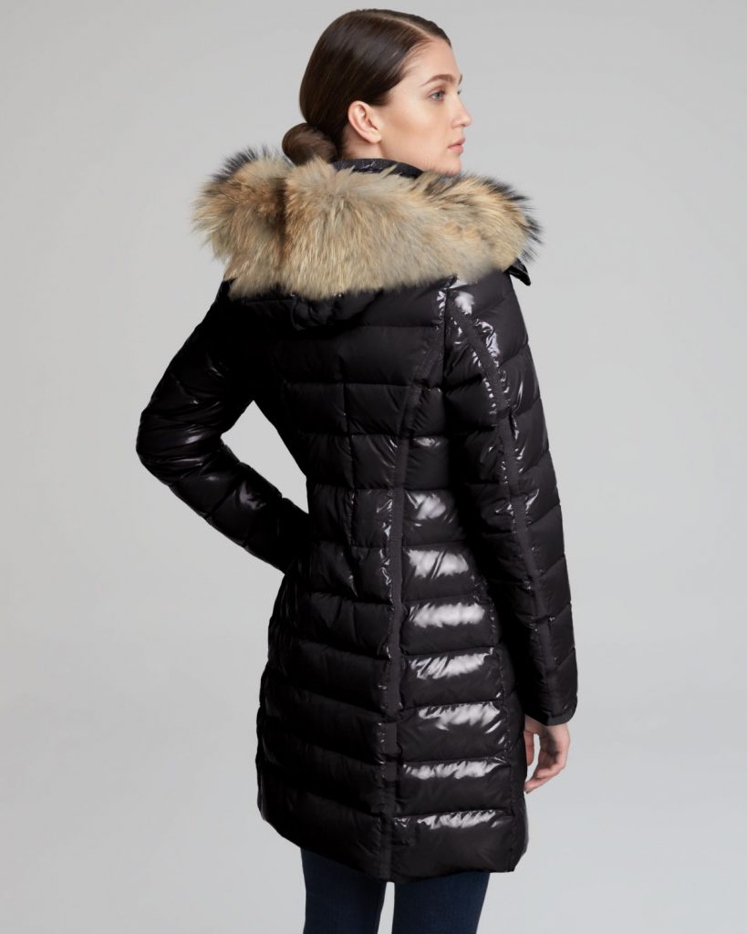 Long Puffer Coat: Looking Smart and Beautiful – StyleSkier.com
