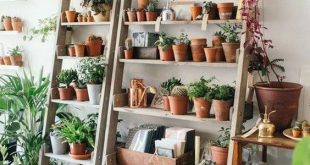 60+ Plant Stand Design Ideas for Indoor Houseplants - Page 18 of .